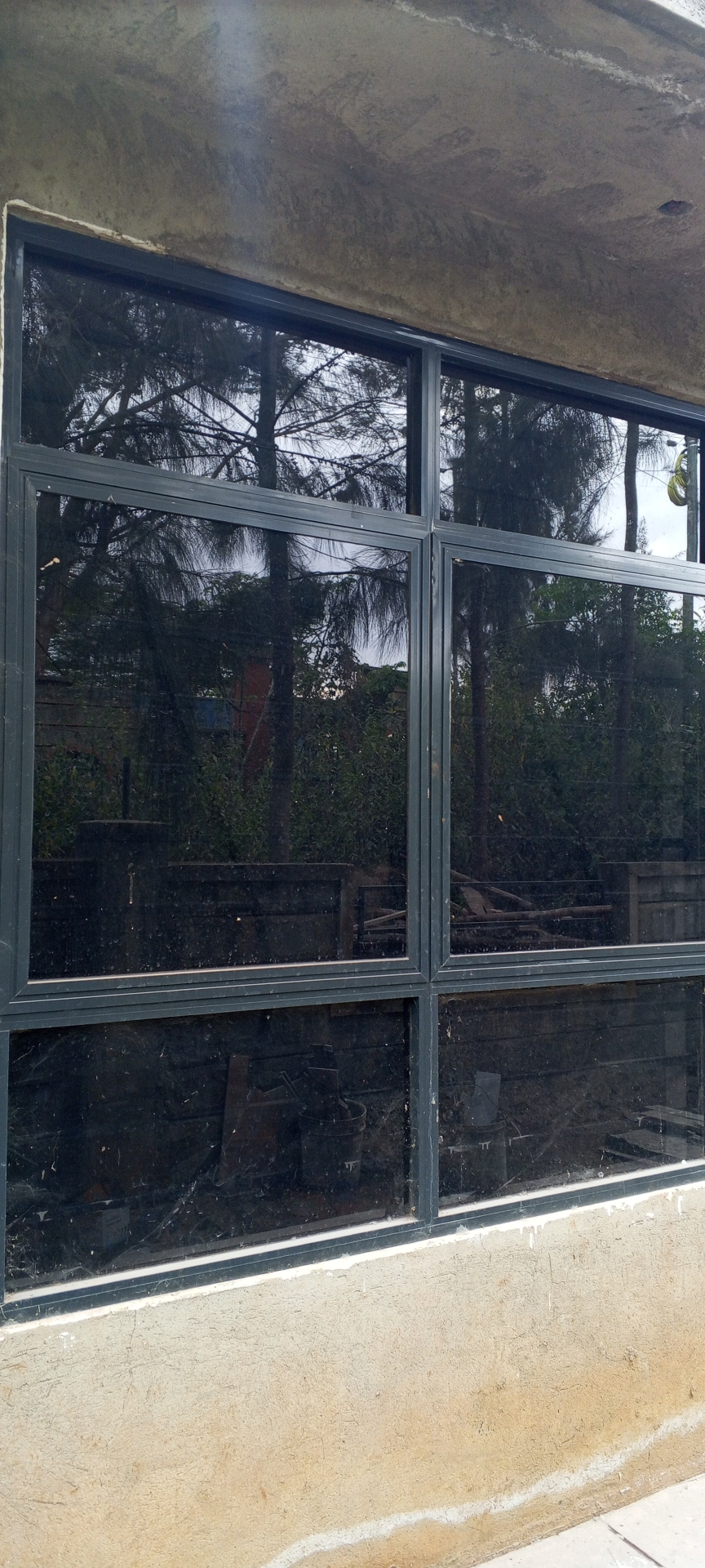 Large aluminum-framed awning window wall with tree reflections